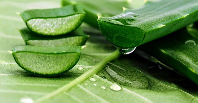 aloe vera fa bene alla pelle