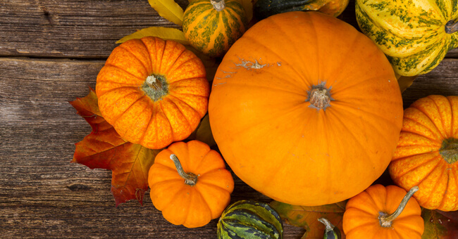 Cellulite addio con gli estratti di zucca