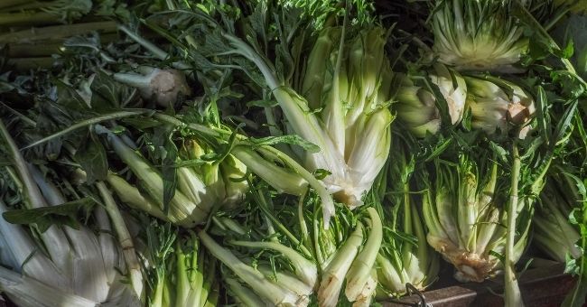 Riscopri le puntarelle, fegato e linea ringrazieranno