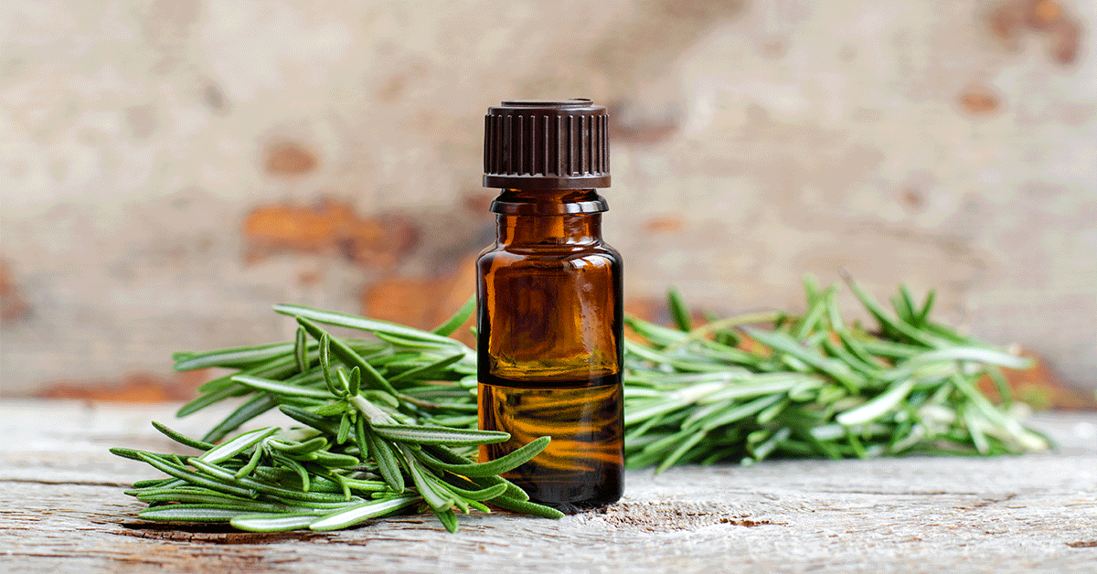 Olio essenziale di rosmarino: caratteristiche, proprietà e come usarlo
