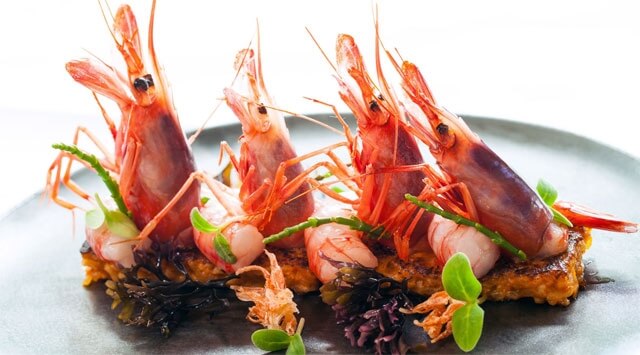 Crostacei, istruzioni per l'uso