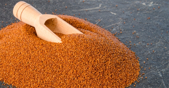 Scopri il teff: tante proteine, zero glutine