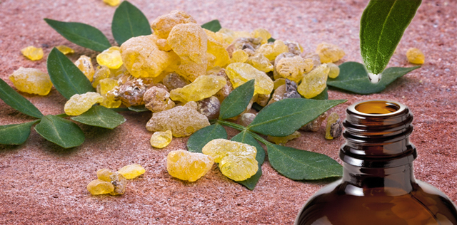 Infiammazione cronica? Ci pensa boswellia