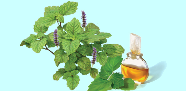 Insonnia: se diventa un problema ti salva patchouli