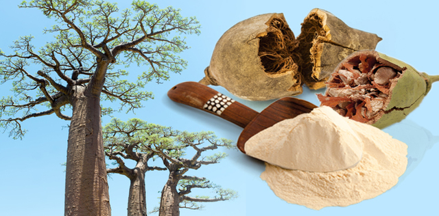 Con il baobab pulisci il colon e dimagrisci