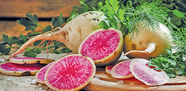 Radici: il cibo d’inverno amico della linea
