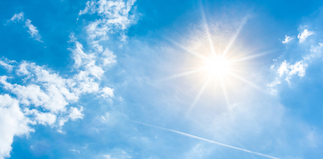 In vacanza con le piante del sole