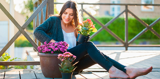 Giardino e balcone d’estate: curali con questi alleati naturali