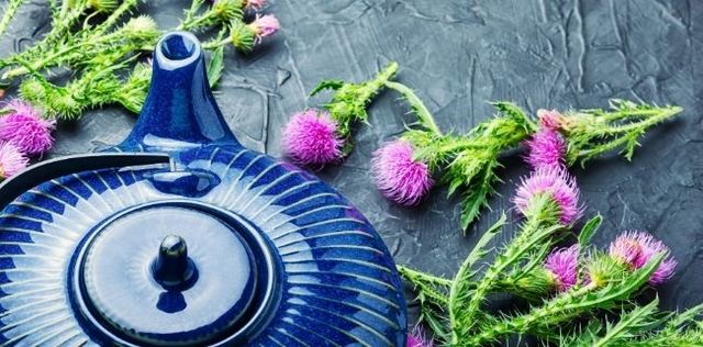 Cardo: riscopri un ortaggio ingiustamente dimenticato