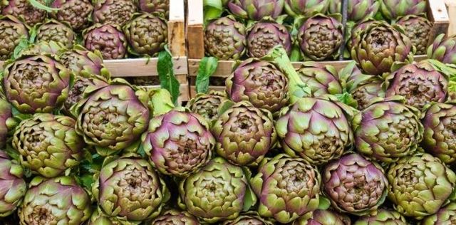 Carciofo: proprietà, benefici e calorie