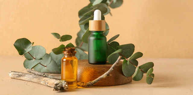 Olio essenziale di eucalipto: proprietà, usi e benefici
