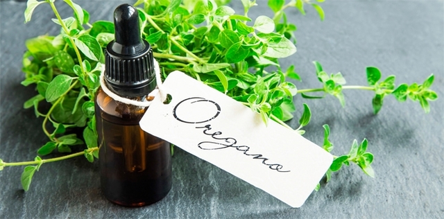 Alt al meteorismo con l'olio di origano