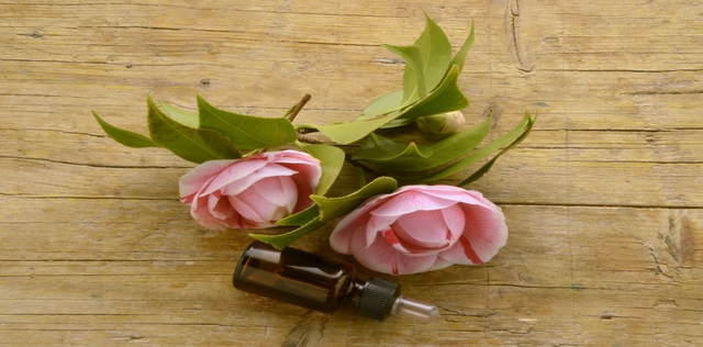 Olio di camelia: l'antiossidante che si prende cura di pelle e capelli