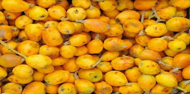 Olio di Marula: l'elisir per pelle e capelli