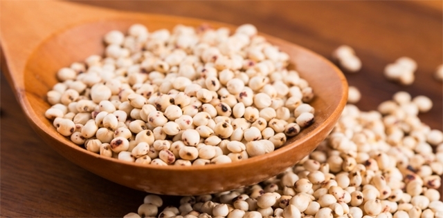 Scopri il sorgo, cereale leggero e gluten free