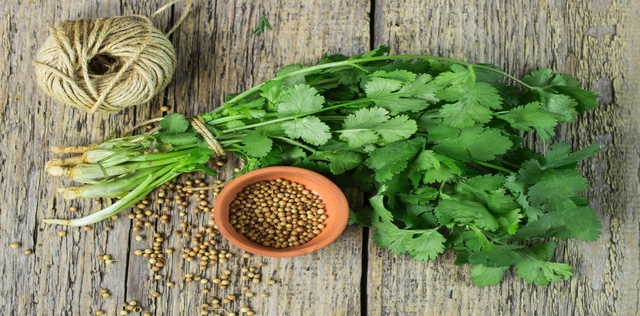 Tutti i metodi naturali per eliminare i metalli pesanti