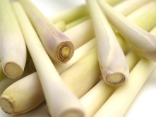 Citronella